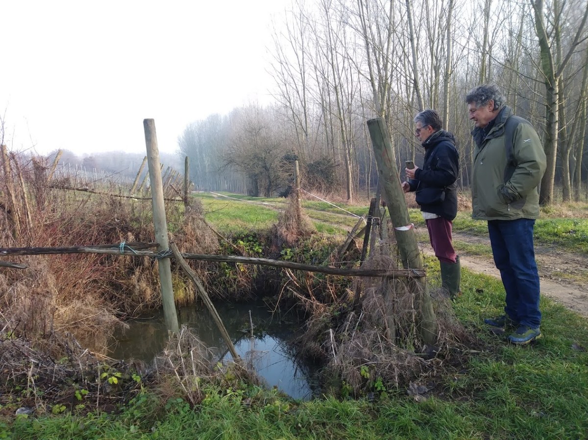 Da cosa nasce&nbsp;cosa.