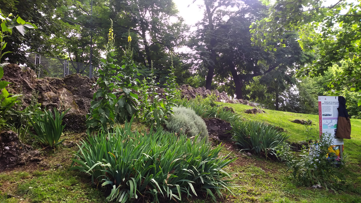 L’impegno dell’Associazione per i Vivai ProNatura a difesa della&nbsp;Biodiversità.