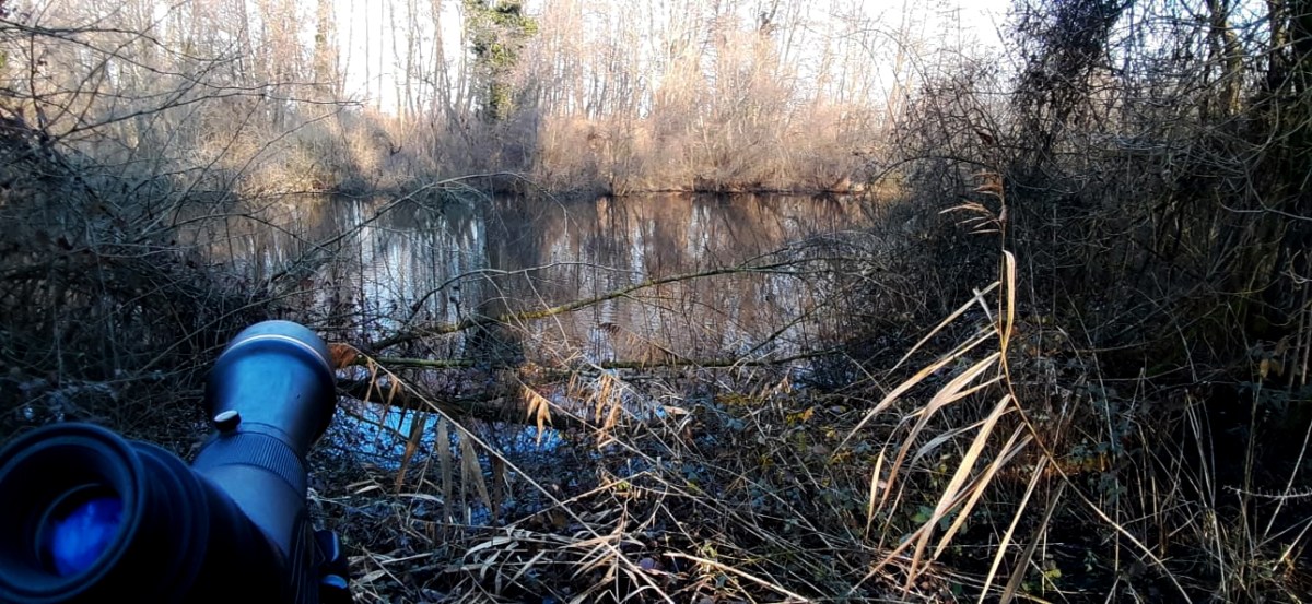 Perché realizzare, recuperare, mantenere pozze&nbsp;d’acqua?