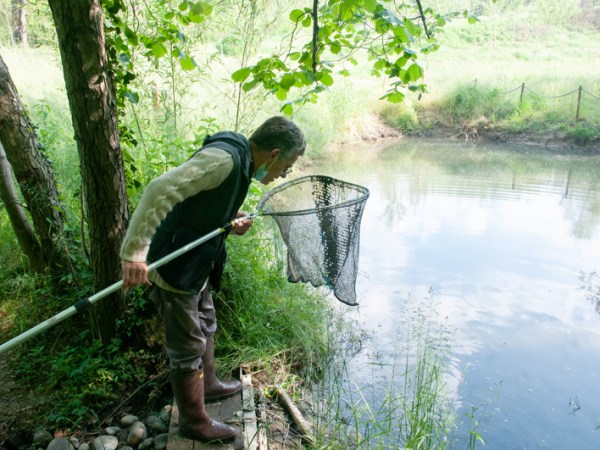 La Collina della Biodiversità&nbsp;relitta.