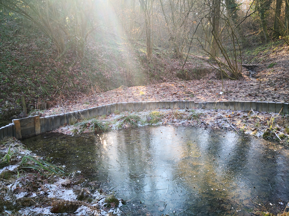 Questa immagine ha l'attributo alt vuoto; il nome del file è pozza-rospo-smeraldino_sole-e-ghiaccio_20220115_104829.jpg